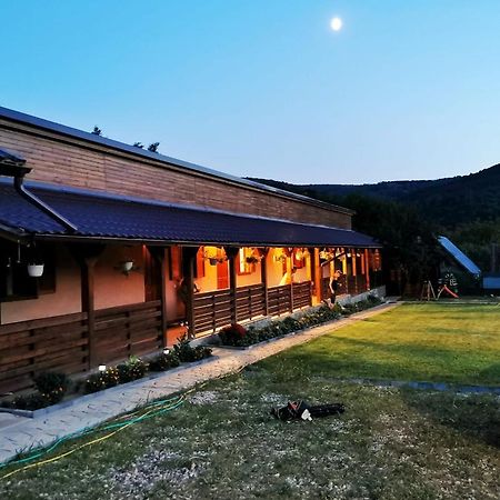Sasca Montană Casa Borcean 2ゲストハウス エクステリア 写真