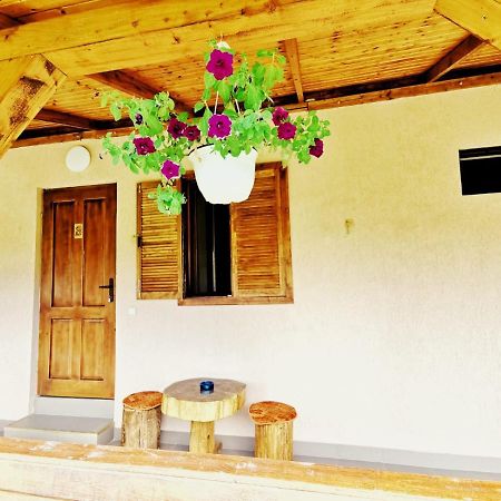 Sasca Montană Casa Borcean 2ゲストハウス エクステリア 写真