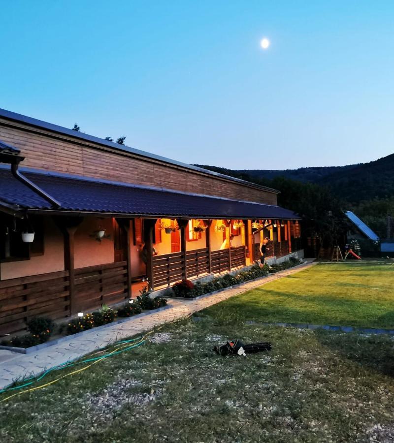 Sasca Montană Casa Borcean 2ゲストハウス エクステリア 写真