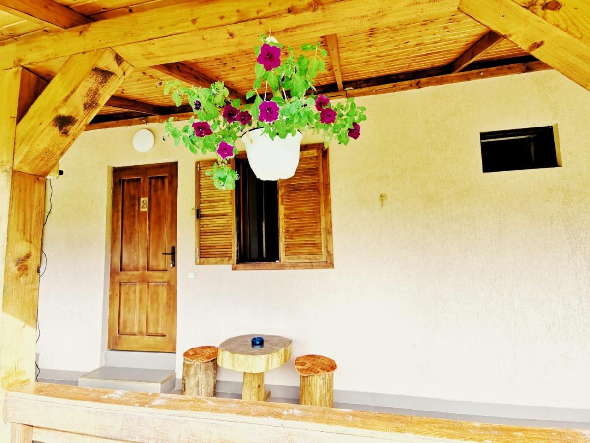 Sasca Montană Casa Borcean 2ゲストハウス エクステリア 写真