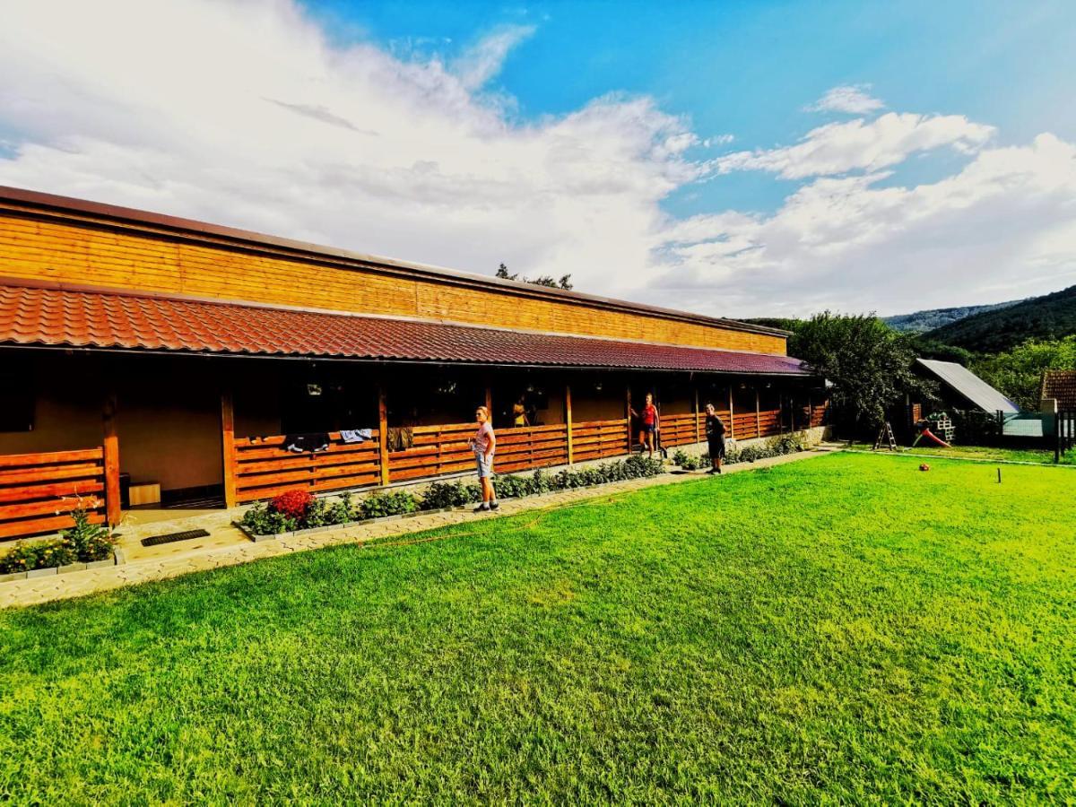 Sasca Montană Casa Borcean 2ゲストハウス エクステリア 写真