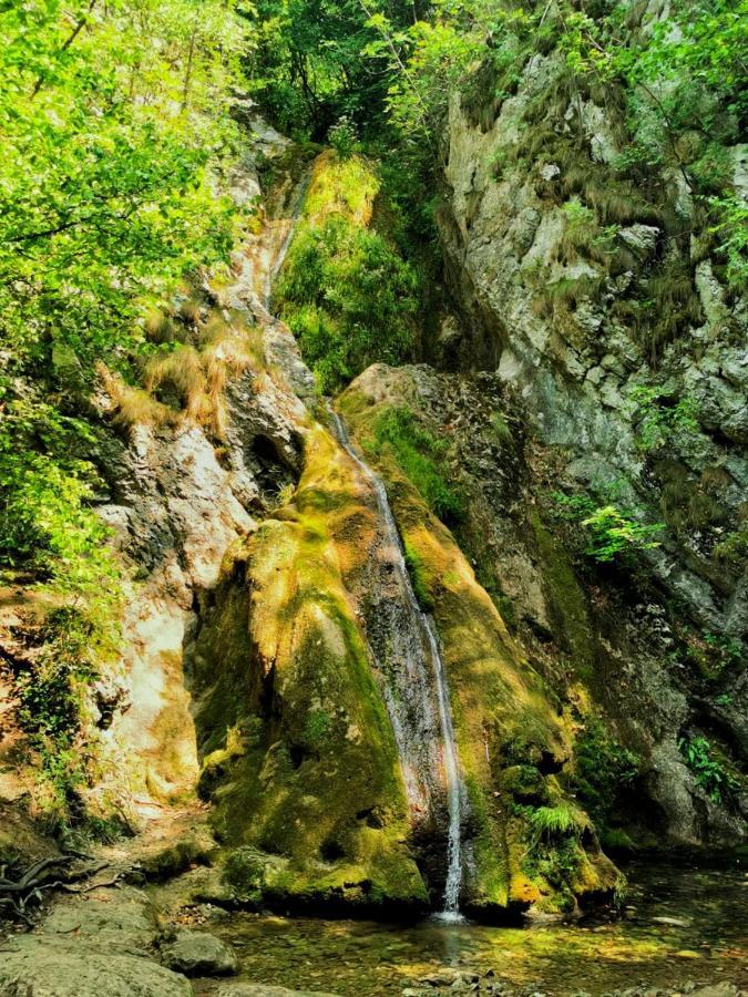 Sasca Montană Casa Borcean 2ゲストハウス エクステリア 写真