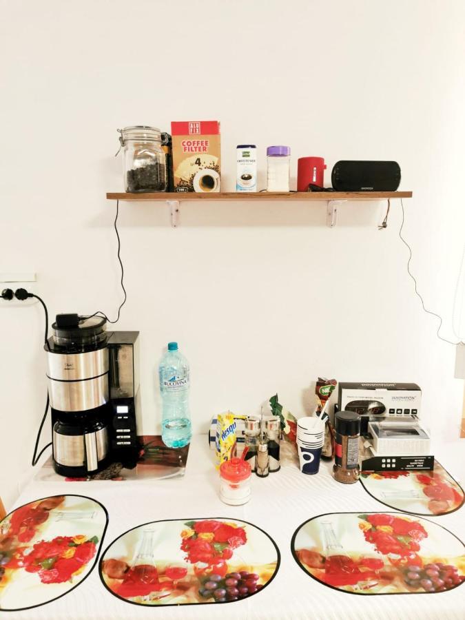 Sasca Montană Casa Borcean 2ゲストハウス エクステリア 写真
