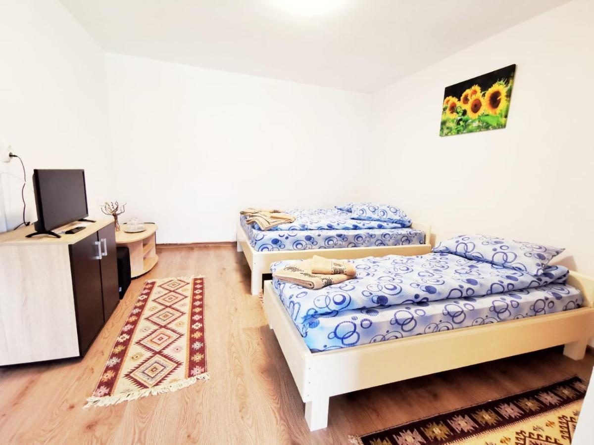 Sasca Montană Casa Borcean 2ゲストハウス エクステリア 写真
