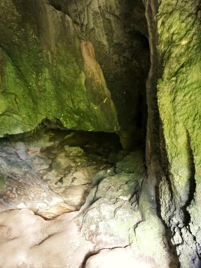 Sasca Montană Casa Borcean 2ゲストハウス エクステリア 写真