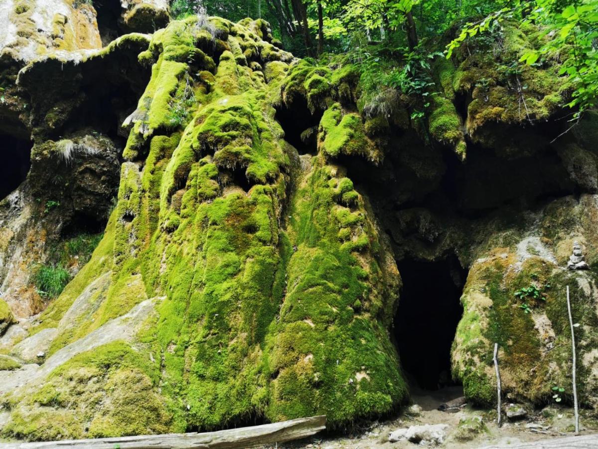 Sasca Montană Casa Borcean 2ゲストハウス エクステリア 写真
